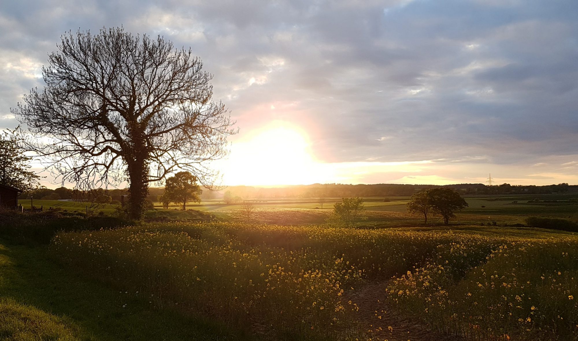 Sonnenuntergang in Sechendorf
